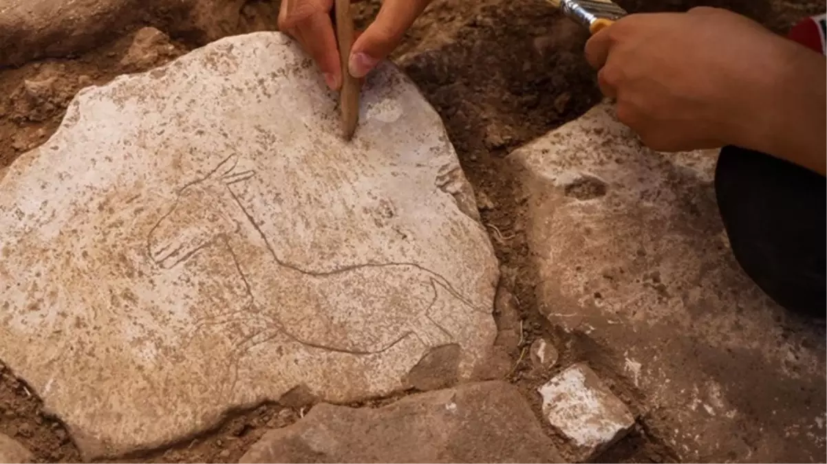 Göbeklitepe’de bile böylesi görülmedi! Dünya tarihine ışık tutacak keşif